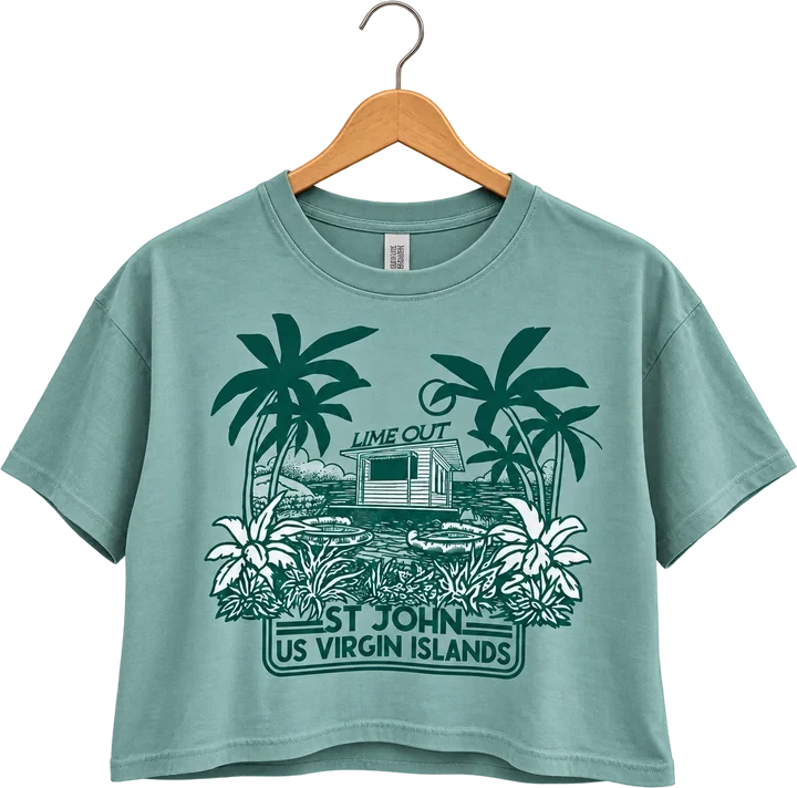 Lime Out St. John crop tee in sage green, on a hanger